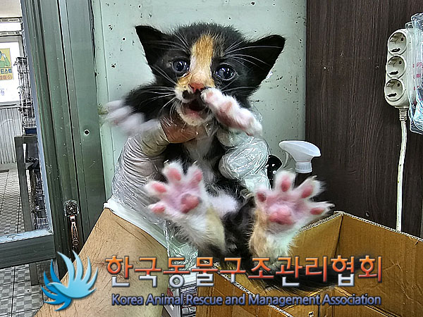 종료(자연사) 한국…