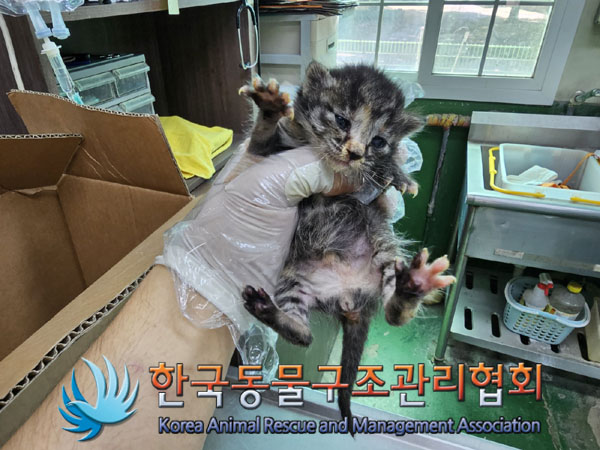 한국동물구조관리협회_411305202300210