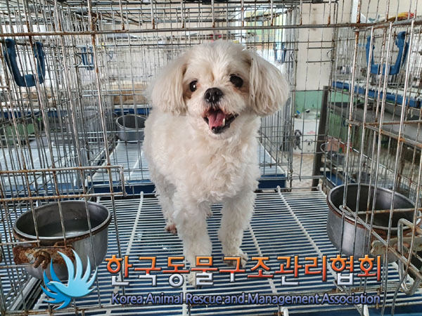 한국동물구조관리협회_411306202300336