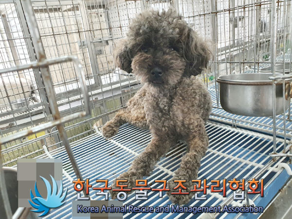 한국동물구조관리협회_441560202300506