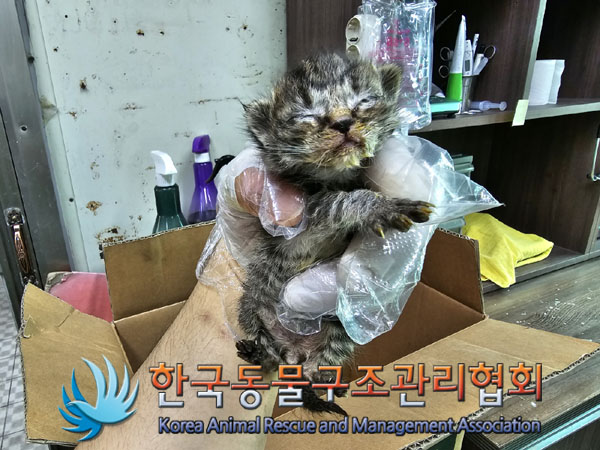 한국동물구조관리협회_411305202300207