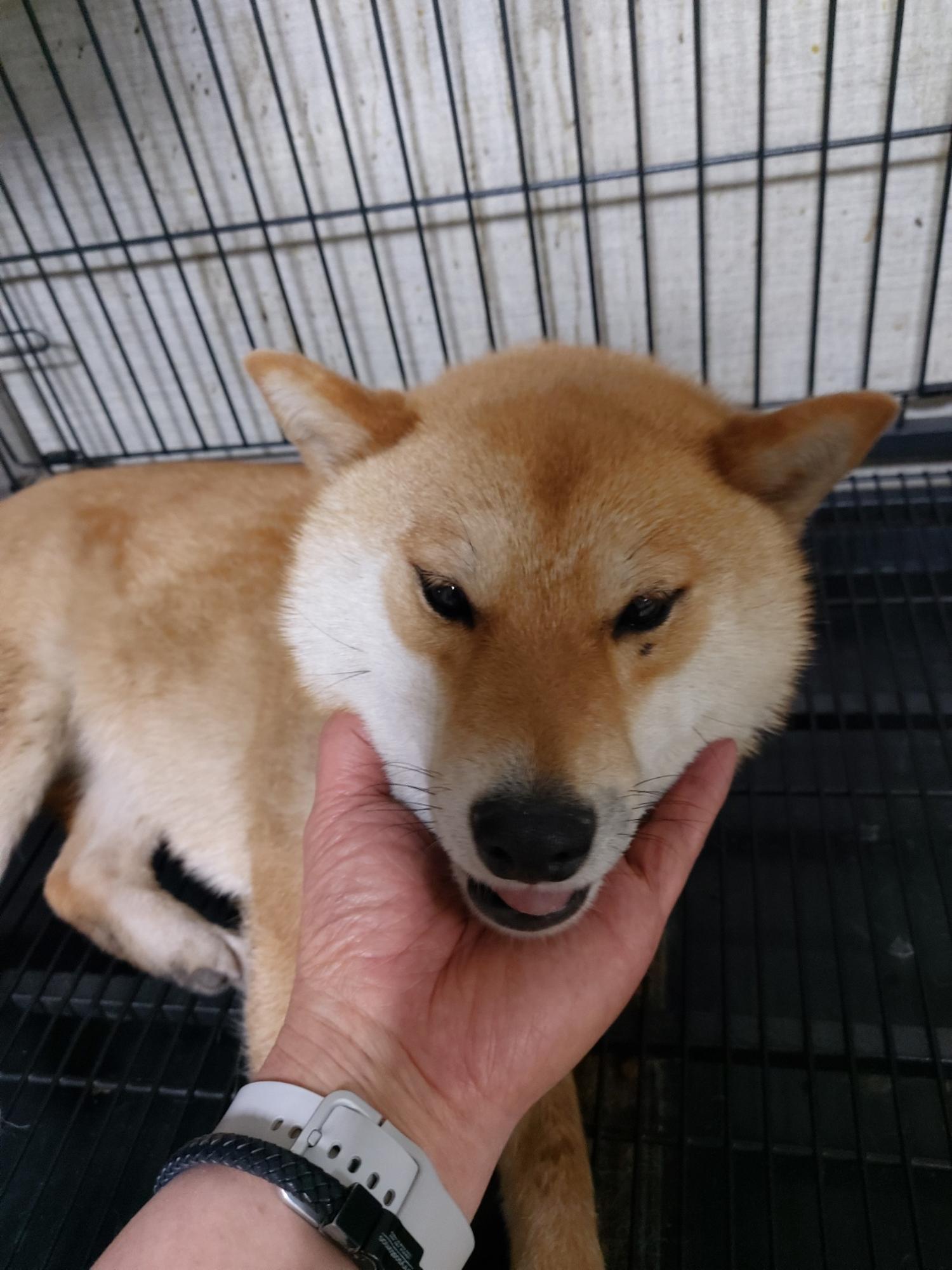 우리동물병원_428356202300696