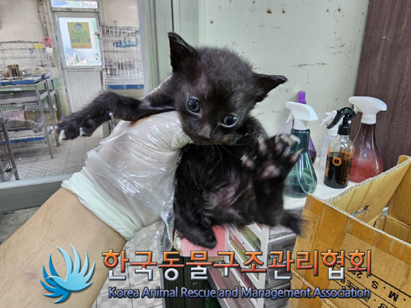 한국동물구조관리협회_411305202300202
