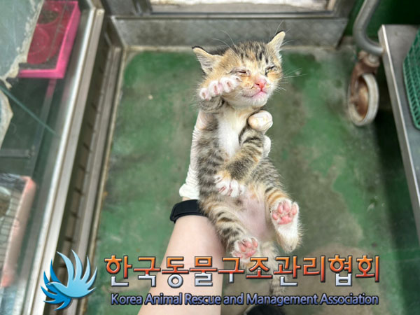 한국동물구조관리협회_441560202300508