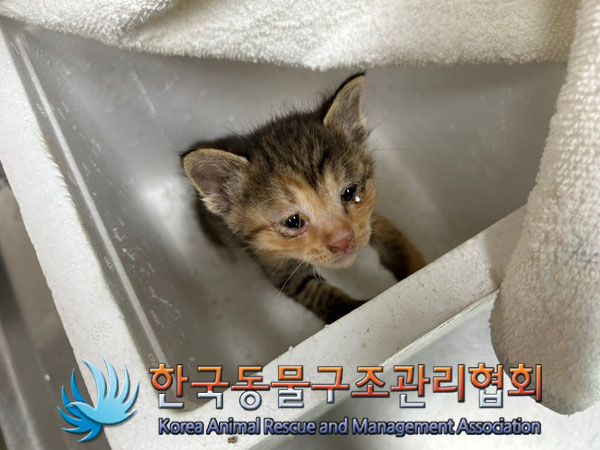 한국동물구조관리협회_441560202300509