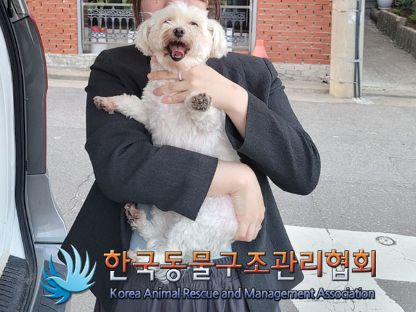 한국동물구조관리협회_411315202300316