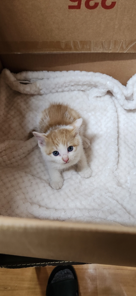 익산유기동물보호소_445468202300952