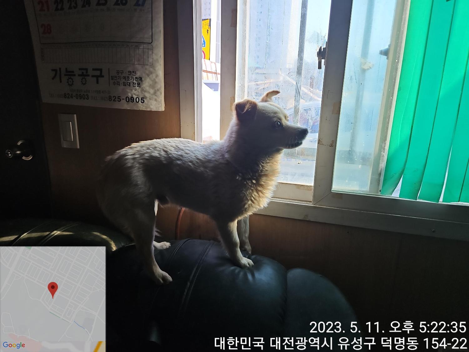 대전동물보호센터_430367202300287