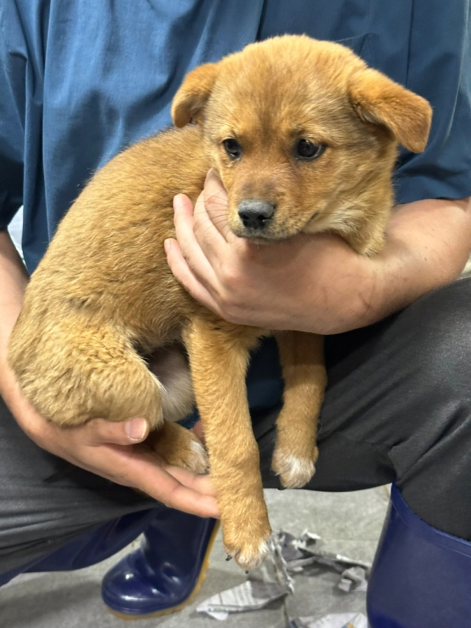 이성준동물병원_441408202300459