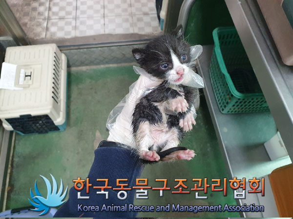 한국동물구조관리협회_411317202300092