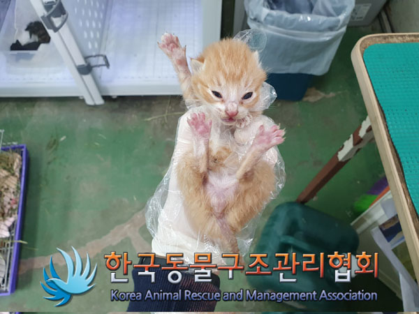 한국동물구조관리협회_441560202300511