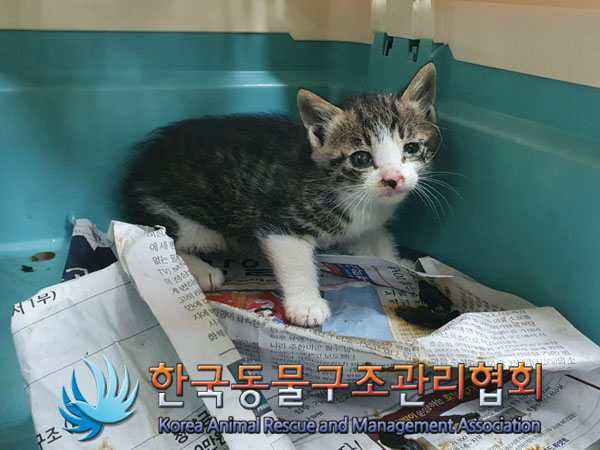 한국동물구조관리협회_411312202300298