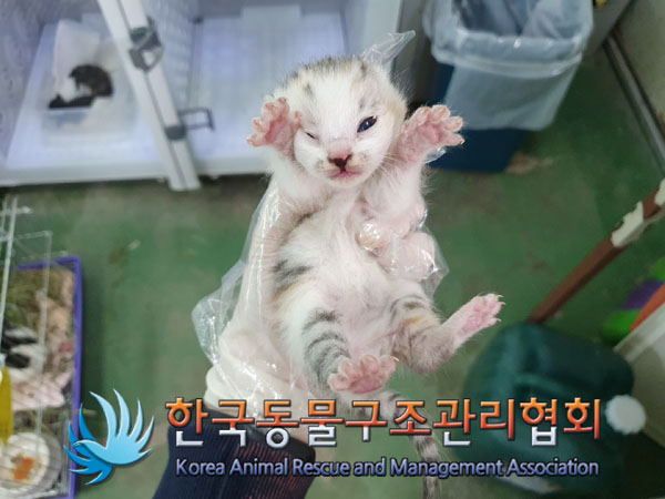 한국동물구조관리협회_441560202300514