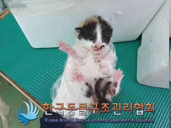 한국동물구조관리협회_441560202300510