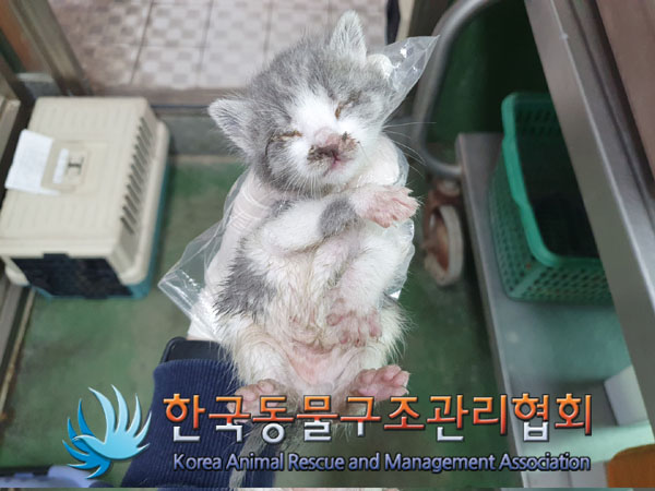 한국동물구조관리협회_411317202300090