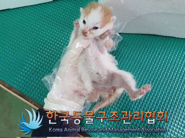 한국동물구조관리협회_441560202300512