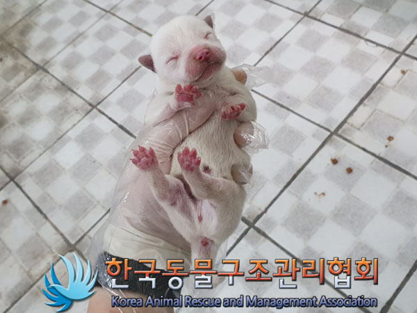 한국동물구조관리협회_411310202300197
