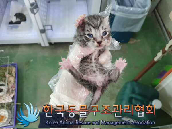 한국동물구조관리협회_441560202300513