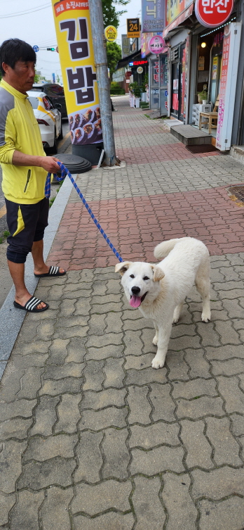 익산유기동물보호소_445468202300968