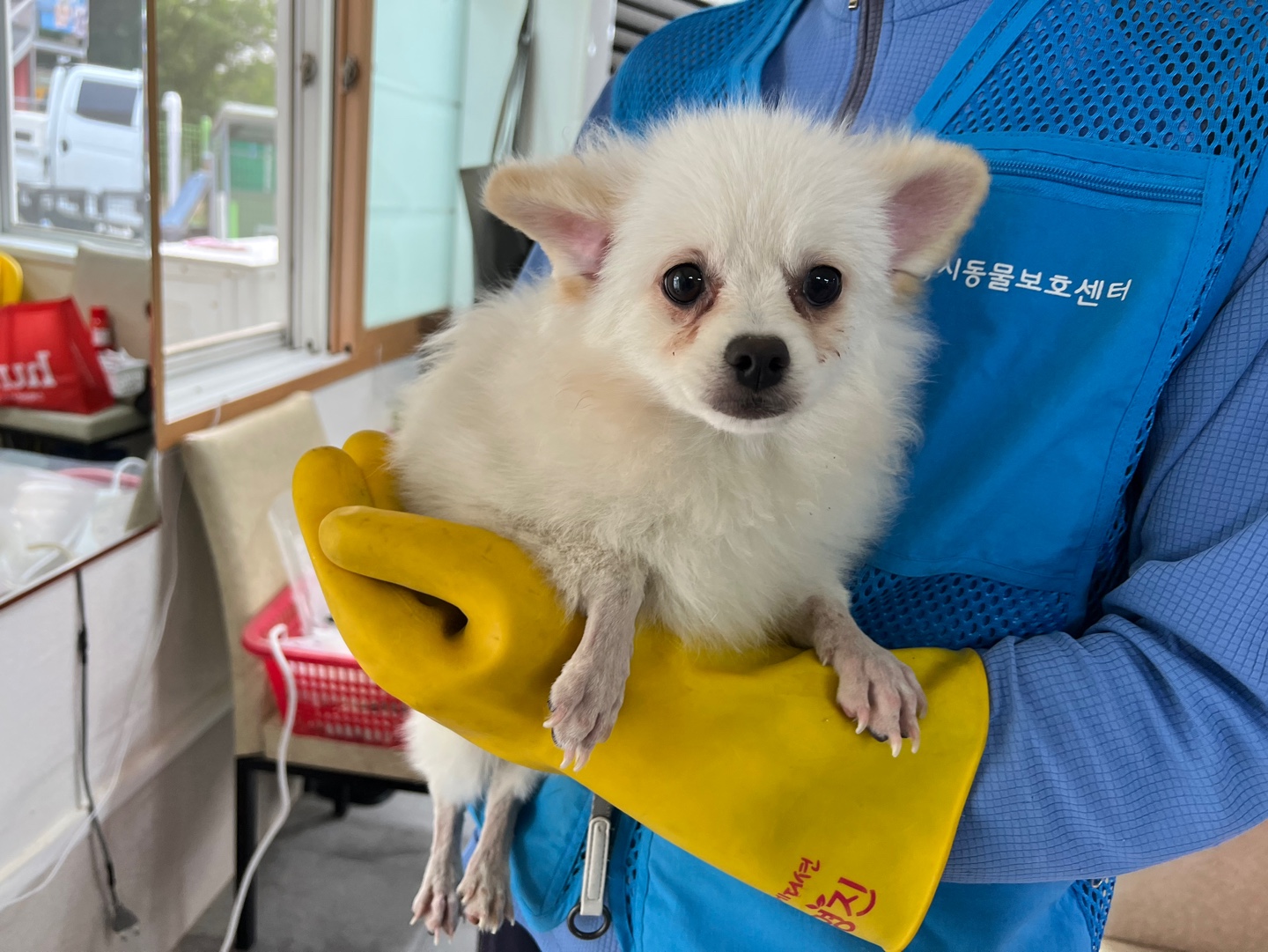 (사)영일동물플러스_447502202300410