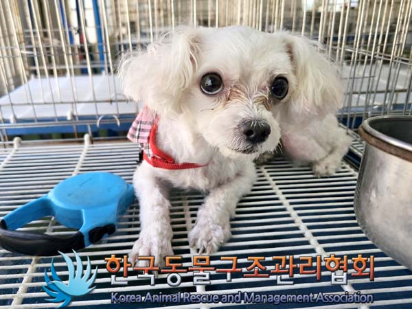 한국동물구조관리협회_411318202300210