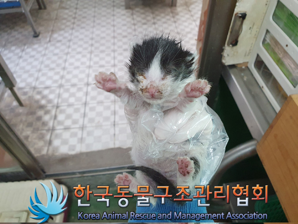 한국동물구조관리협회_411323202300387