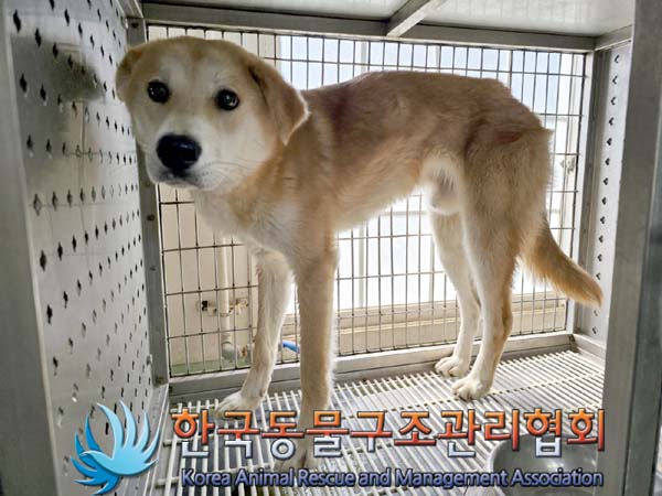 한국동물구조관리협회_411318202300211