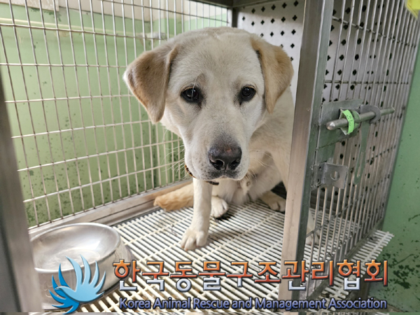 한국동물구조관리협회_441559202300366