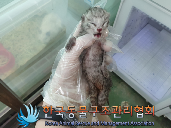 한국동물구조관리협회_411303202300184