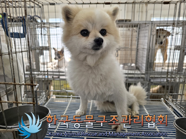 한국동물구조관리협회_441560202300521