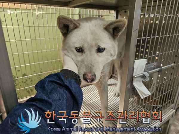 한국동물구조관리협회_441560202300522