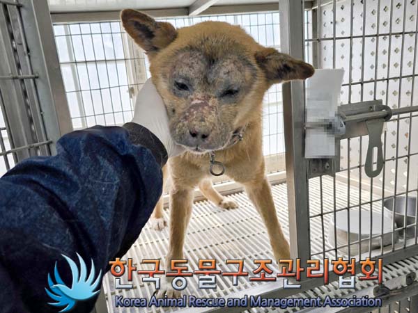 한국동물구조관리협회_441559202300365