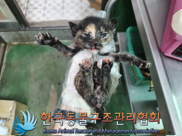 한국동물구조관리협회_441409202300722