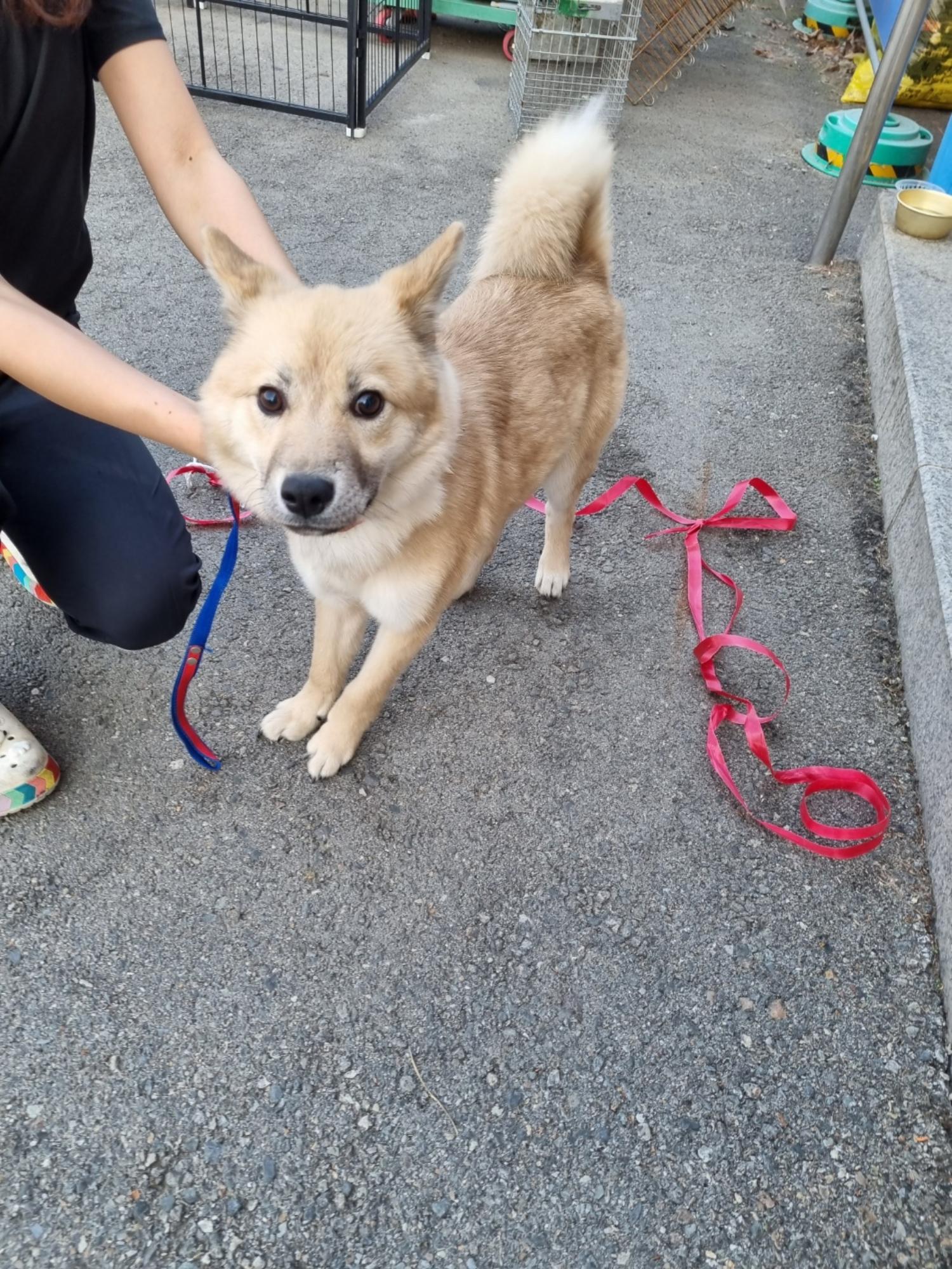 반려동물보호센터_443571202301604