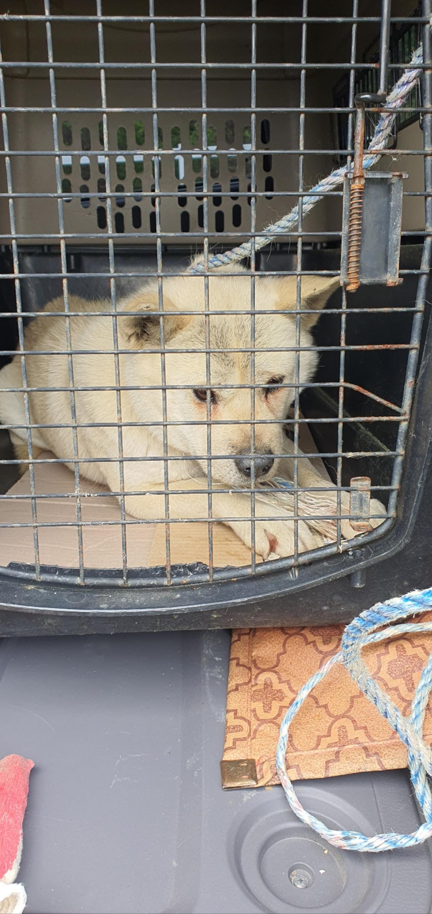 장수군 보호소_445475202300065