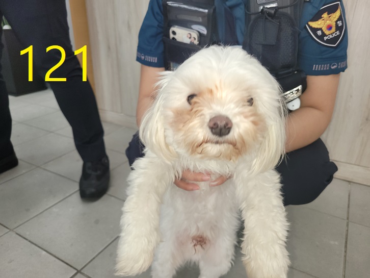 신영재동물병원_428355202300210