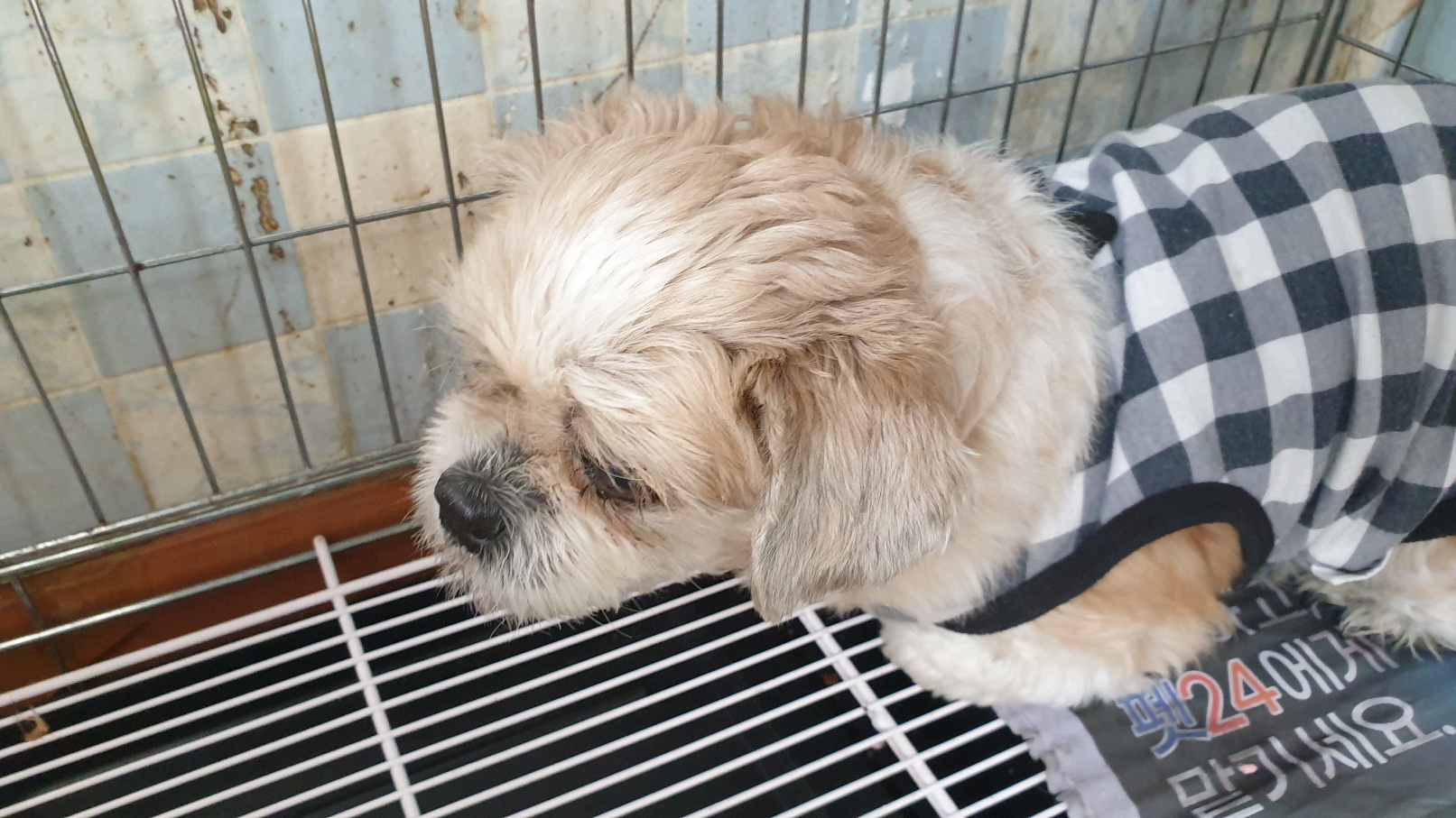 동부동물병원_445464202301821