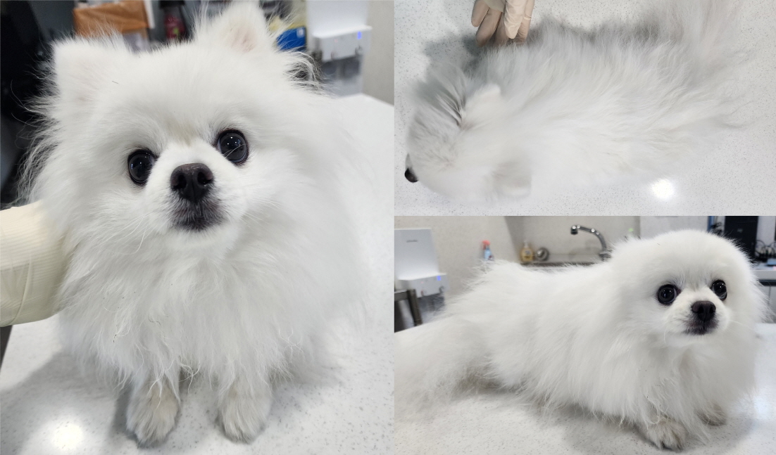 서산시 동물보호센터_444453202300333