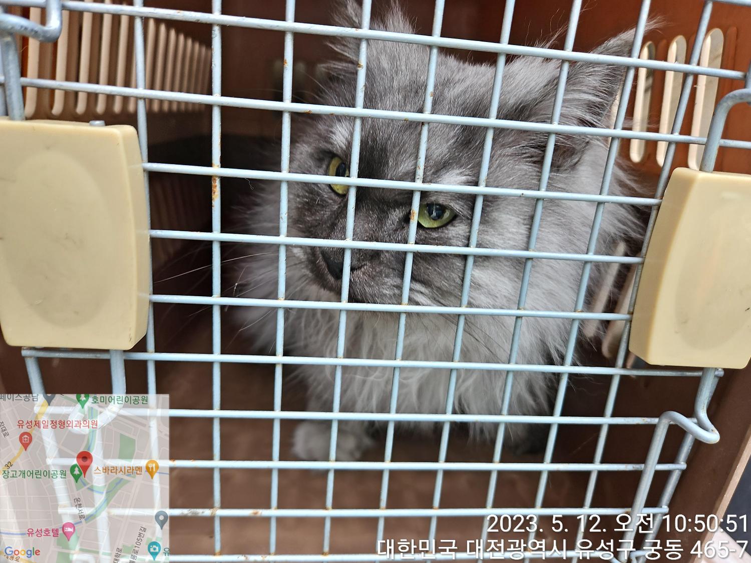 대전동물보호센터_430367202300289