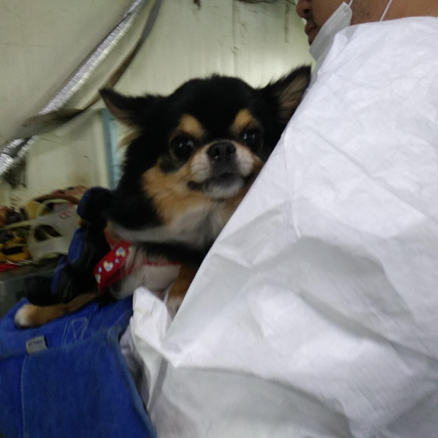 인천광역시수의사회_428353202300619