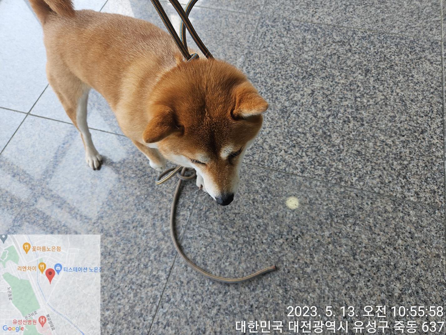 대전동물보호센터_430367202300290