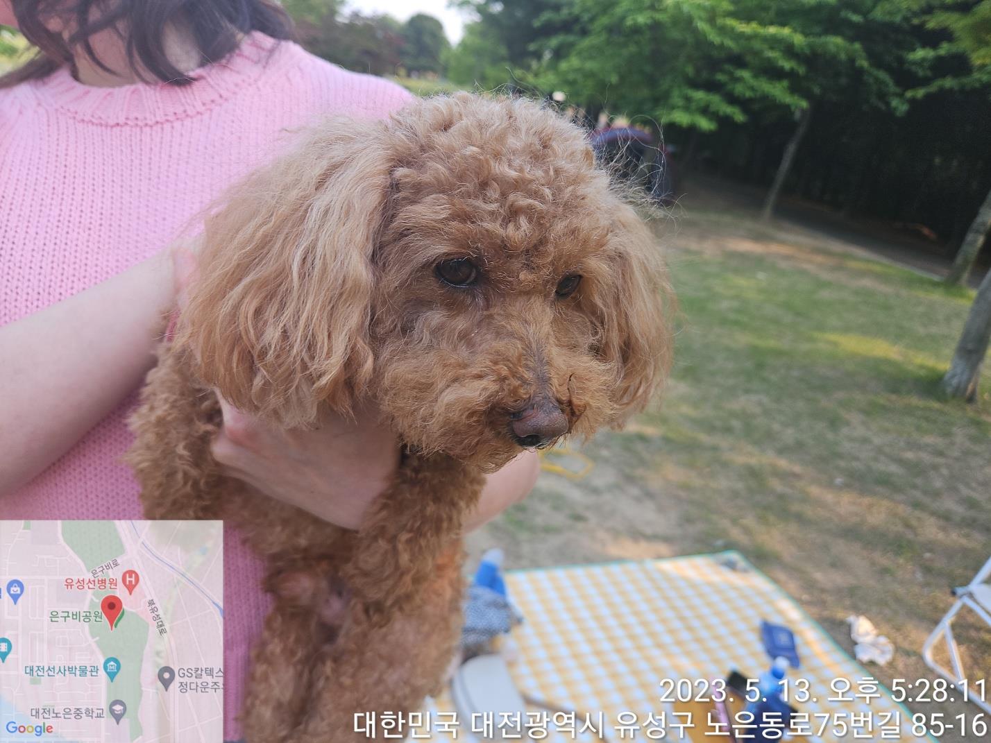 대전동물보호센터_430367202300291