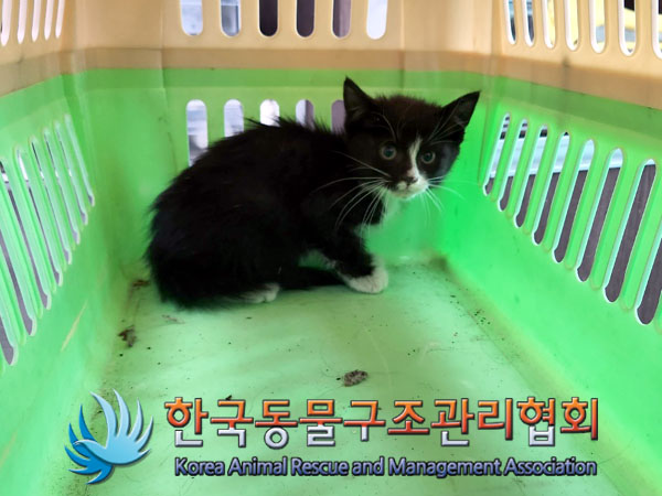 한국동물구조관리협회_411311202300367
