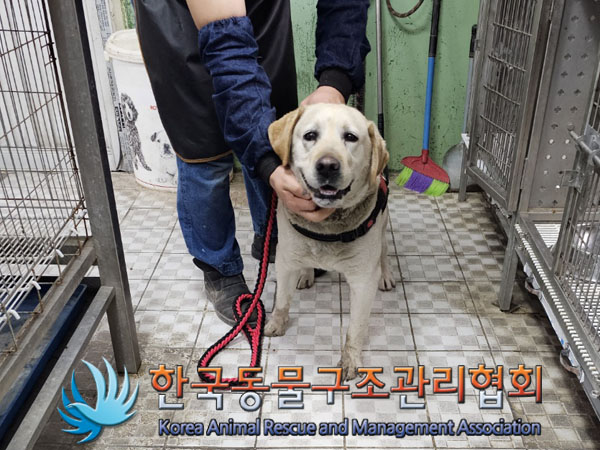 한국동물구조관리협회_441559202300368