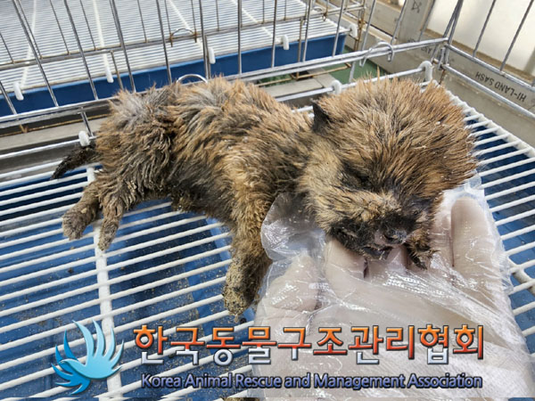 한국동물구조관리협회_441414202300312