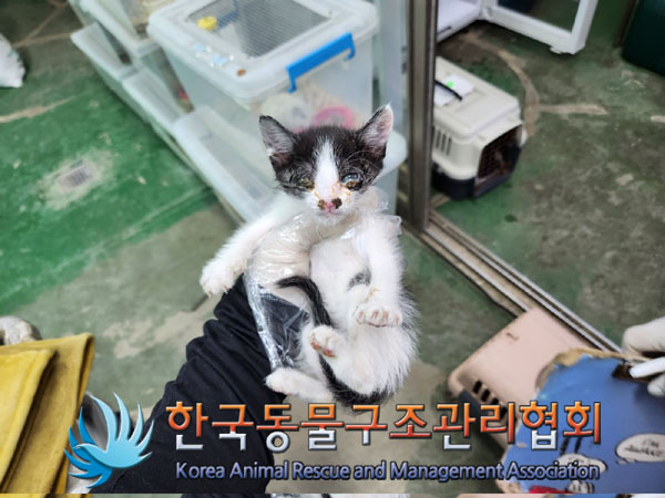 한국동물구조관리협회_411300202300173