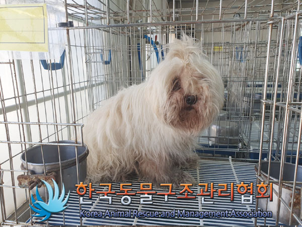 한국동물구조관리협회_411315202300327