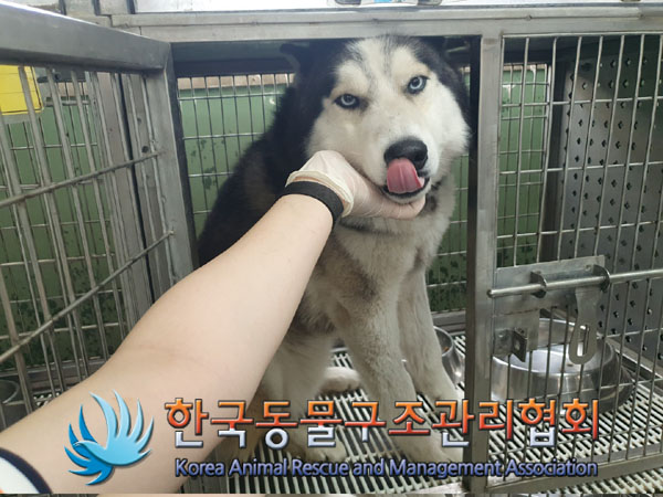 한국동물구조관리협회_441414202300314