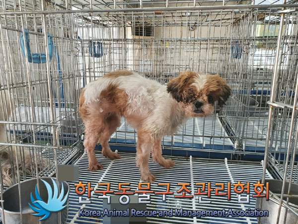 한국동물구조관리협회_411312202300301