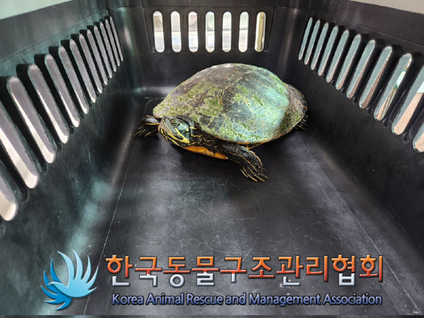 한국동물구조관리협회_411322202300316